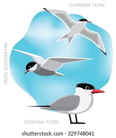 Bird Tern Set Cartoon Vector Illustration