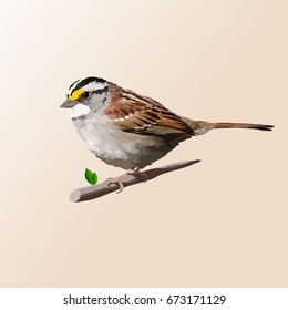 The bird that sits in the tree. isolated layered and vector.