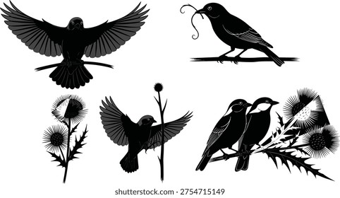 Bird and thistle silhouettes, nature vector illustration, wildlife artwork design, avian shadow graphics, botanical plant icons, decorative foliage artwork, forest bird illustration