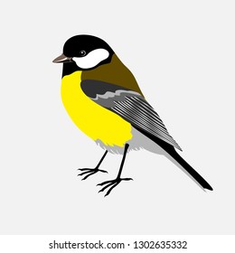 
bird tit arriving in winter