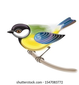 bird tit sitting on a branch. vector watercolor. imitation of living materials. vector illustration. EPS 10.
