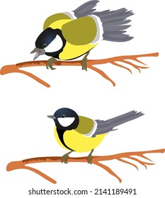 bird tit sitting on a branch feathered character suitable for animation nature fauna spring chirping singing