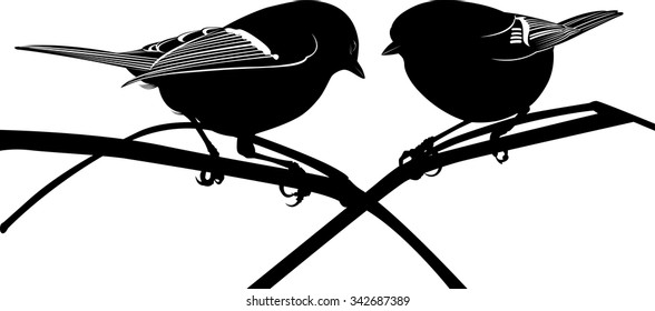 bird titmouse on a white background