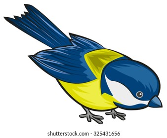Bird titmouse. Tit. Isolated illustration in vector format