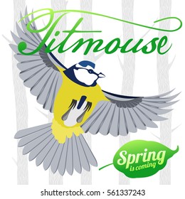 Bird titmouse vector card. Trees, tree buds, thaw, birds. Web graphics, banners, advertisements, brochures, business templates Isolated on a white background