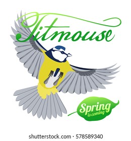 Bird titmouse vector card. Trees, tree buds, thaw, birds. Web graphics, banners, advertisements, brochures, business templates Isolated on a white background