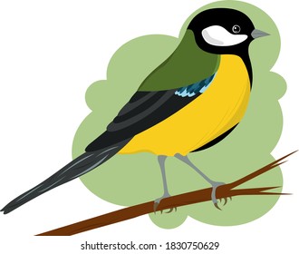 
bird titmouse with yellow breast sits on a branch on a light green background
