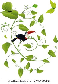 bird toucan butterfly and an ornament from leaves