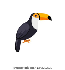 Bird Toucan in flat style on white background. Vector illustration