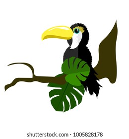 Bird toucan made of paper