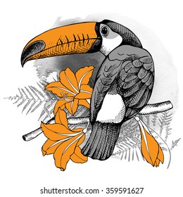 Bird toucan on the branch with tropical leaf and flowers. Vector illustrations.