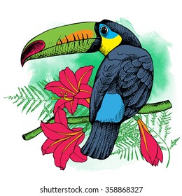 Bird toucan on a exotic leaf and flowers. Vector illustrations.