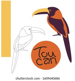 bird toucan, vector illustration,flat style, lining draw