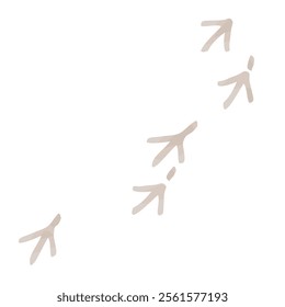 Bird traces on a white background