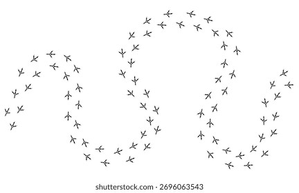 bird tracks footprints on transparent background, path, isolated simple flat style	
