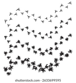 	
bird tracks,chicken tracks icon,vector illustration	
