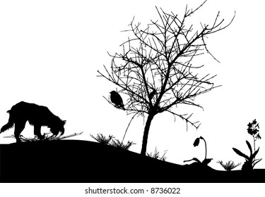 bird in a tree, grass flower and dog