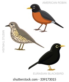 Bird True Thrush Set Cartoon Vector Illustration