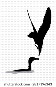 Bird try to eat fish from swan. fish catch survival scenes. swan swiming in the river with fish keep her mouth, and birds ,fly into the water to catch fish for food. .eps
