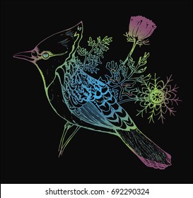 Bird with a tuft and plants on a background. Colorful graphic illustration on a black background