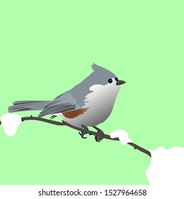 Bird tufted titmouse sitting on the branch with snow 