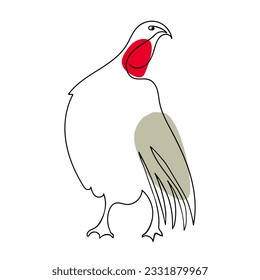 Bird turkey , hand drawn in line art style with coloured spots . Farm animal . Realistic sketch of turkey , food for food . Thanksgiving Day
