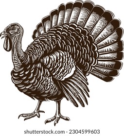 bird turkey vector illustration in one color