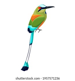 Bird Turquoise-browed Motmot Eumomota superciliosa. Vector isolated, transparent background.