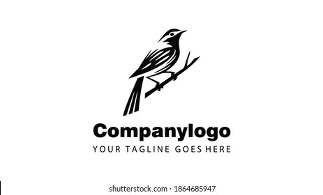 Bird Twig Handrawn Logo Design