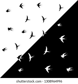 bird, two sides black and white,vector illustration