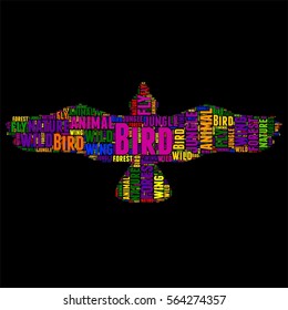 Bird Typography word cloud colorful Vector illustration