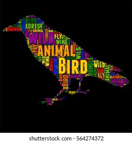 Bird Typography word cloud colorful Vector illustration