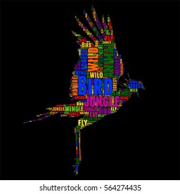 Bird Typography word cloud colorful Vector illustration