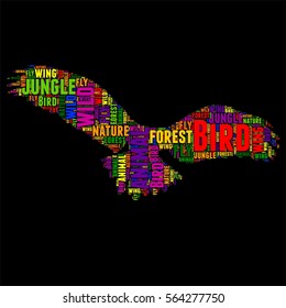 Bird Typography word cloud colorful Vector illustration