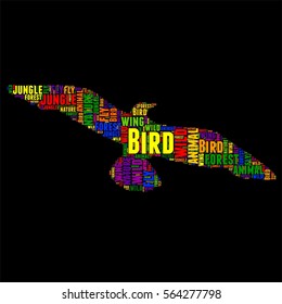 Bird Typography word cloud colorful Vector illustration