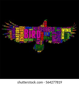 Bird Typography word cloud colorful Vector illustration