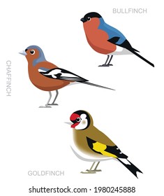 Bird UK Finch Set Cartoon Vector Illustration