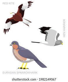 Bird UK Bird of Prey Set Cartoon Vector Illustration