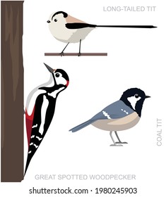 Bird UK Tit Set Cartoon Vector Illustration