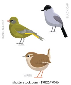 Bird UK Wren Black Cap Set Cartoon Vector Illustration