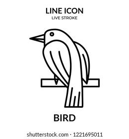 bird vector, animal line icon with live stroke,  Flat design