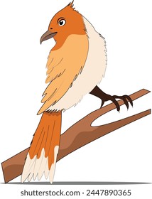 Vektorgrafik und Illustration von Vögeln