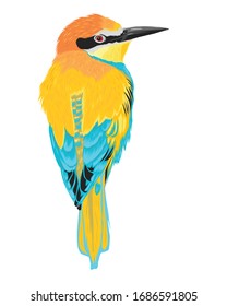 Bird vector art illustration colorful