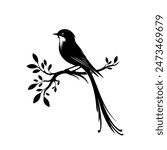Bird vector art illustration Silhouttee Design 