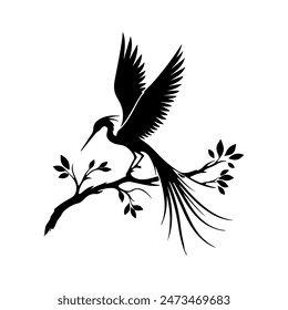 Bird vector art illustration Silhouttee Design 