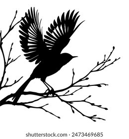 Bird vector art illustration Silhouttee Design 