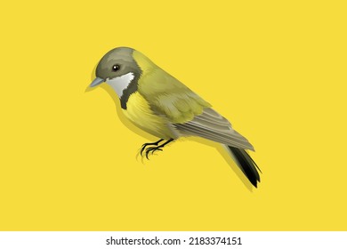 bird vector art "illustration" "yellow"