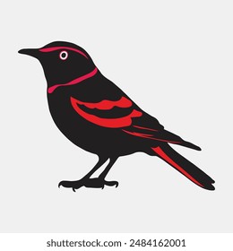 bird vector art, with white background