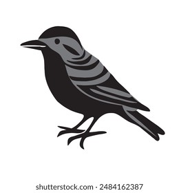 Vogel-Vektorgrafik, mit weißem Hintergrund