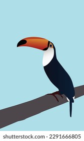Bird vector arts illustrations with blue background
